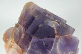 Purple, Cubic Fluorite Crystal Cluster - Berbes, Spain #183846-2